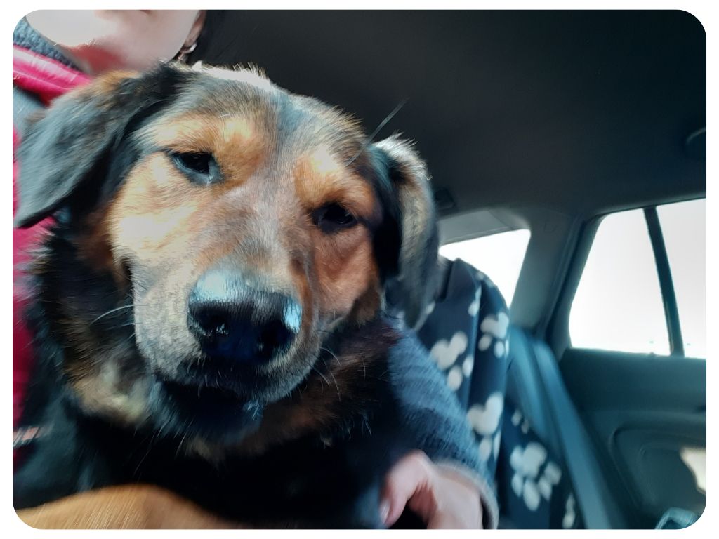 Návrh bez názvu - 2025-10-22T112947.908